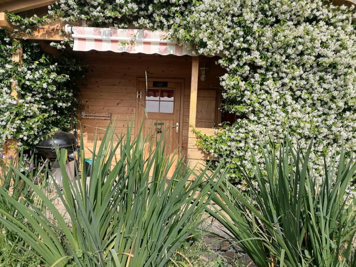 Apartma Suzy Pobegi Exterior photo